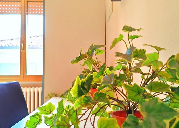 Homestay Arco Iris 3